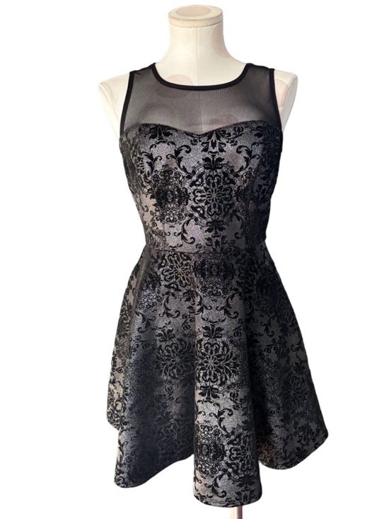 Trixxi Dresses & Skirts - Fit & Flare Brocade Party Dress - whimsygoth- Black Silver Metallic Damask - L